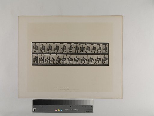 Animal Locomotion. Plate 629.