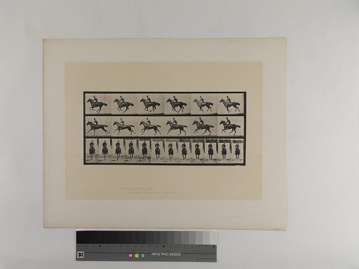Animal Locomotion. Plate 632.