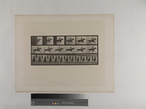 Animal Locomotion. Plate 633.