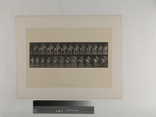 Animal Locomotion. Plate 635.