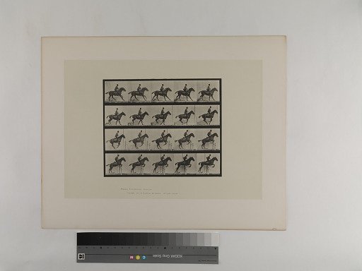 Animal Locomotion. Plate 636.
