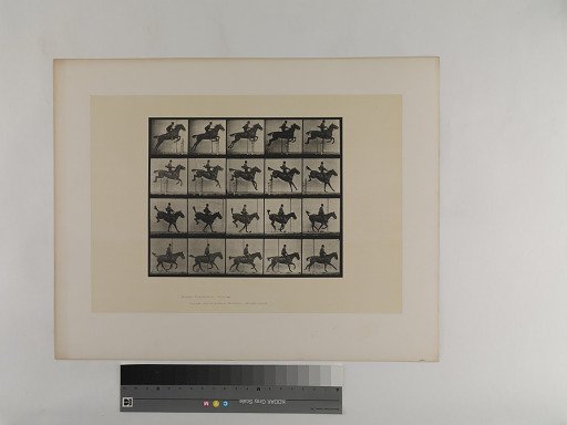 Animal Locomotion. Plate 637.