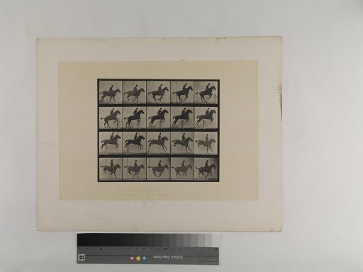 Animal Locomotion. Plate 639.