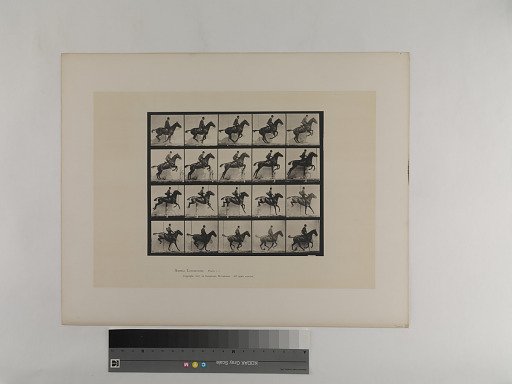 Animal Locomotion. Plate 640.