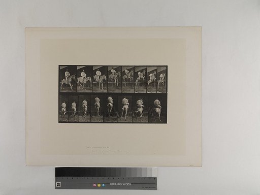 Animal Locomotion. Plate 645.