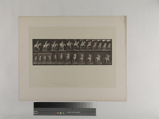 Animal Locomotion. Plate 647.