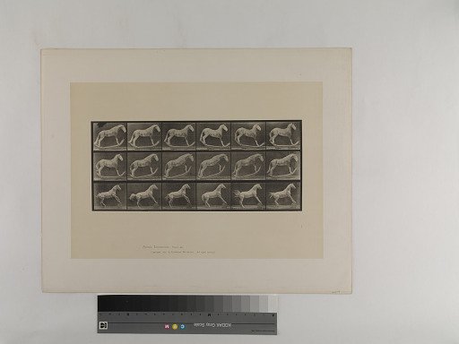 Animal Locomotion. Plate 649.
