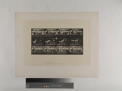 Animal Locomotion. Plate 651.