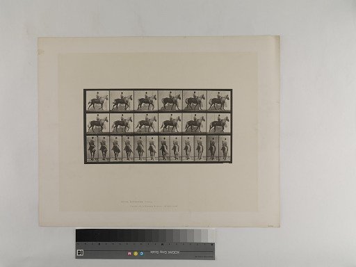 Animal Locomotion. Plate 653.