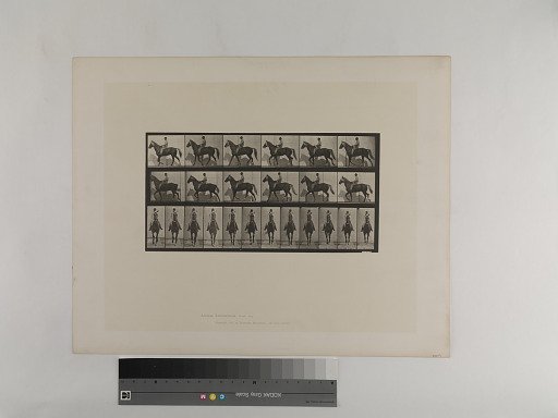 Animal Locomotion. Plate 654.
