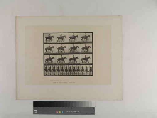 Animal Locomotion. Plate 655.