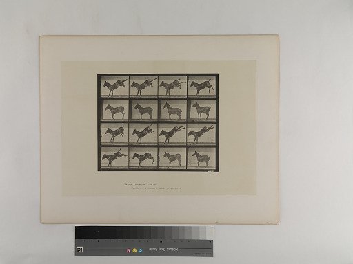 Animal Locomotion. Plate 658.