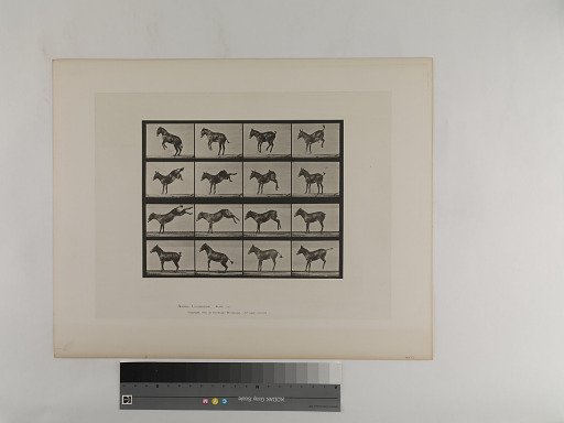 Animal Locomotion. Plate 659.