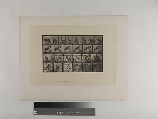 Animal Locomotion. Plate 660.