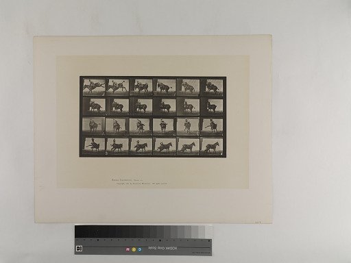 Animal Locomotion. Plate 661.
