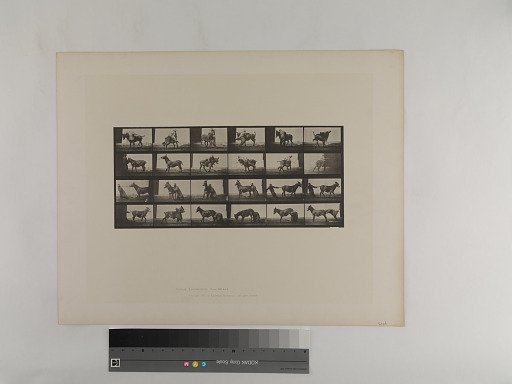 Animal Locomotion. Plate 662.
