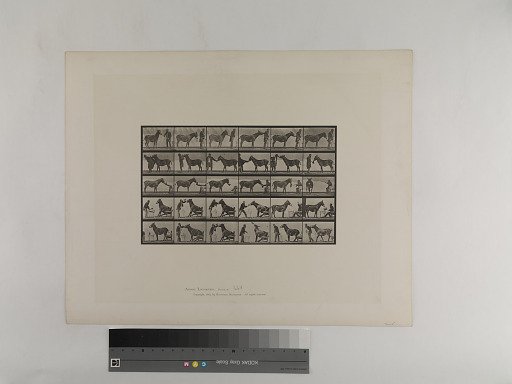 Animal Locomotion. Plate 664.