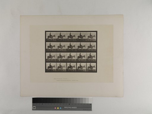 Animal Locomotion. Plate 666.