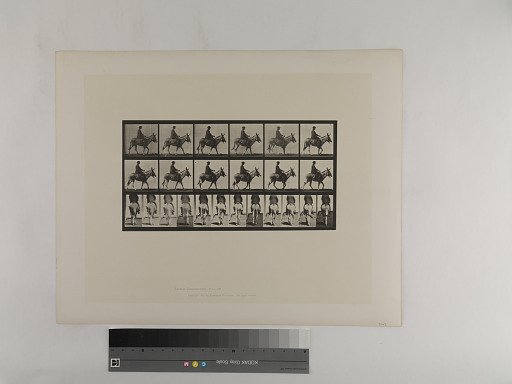 Animal Locomotion. Plate 667.