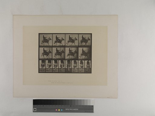 Animal Locomotion. Plate 668.