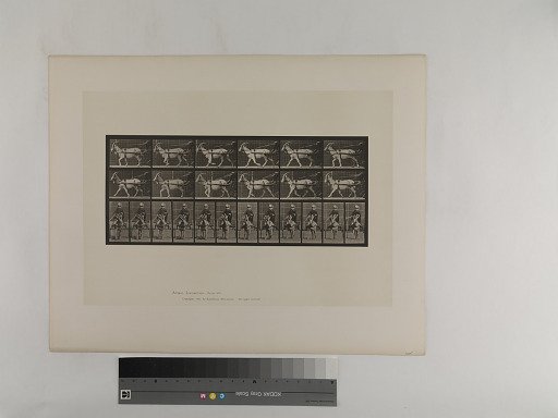 Animal Locomotion. Plate 678.