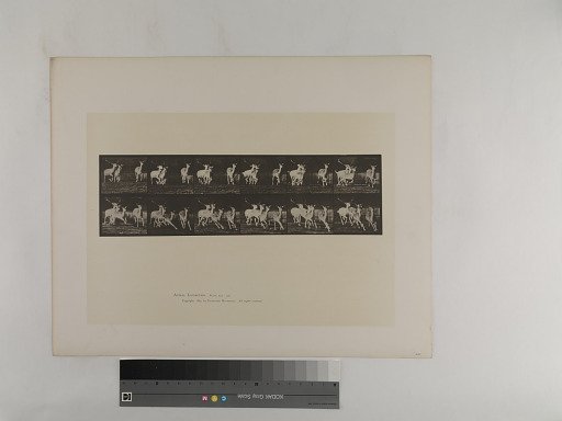 Animal Locomotion. Plate 688.