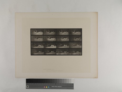 Animal Locomotion. Plate 689.