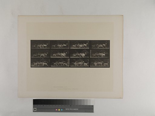 Animal Locomotion. Plate 690.