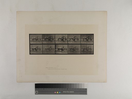 Animal Locomotion. Plate 701.