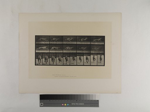 Animal Locomotion. Plate 708.