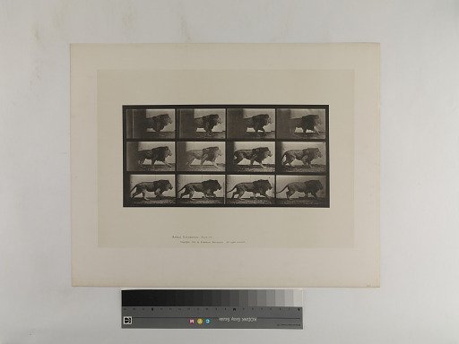 Animal Locomotion. Plate 722.