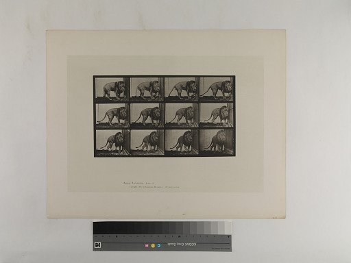 Animal Locomotion. Plate 723.