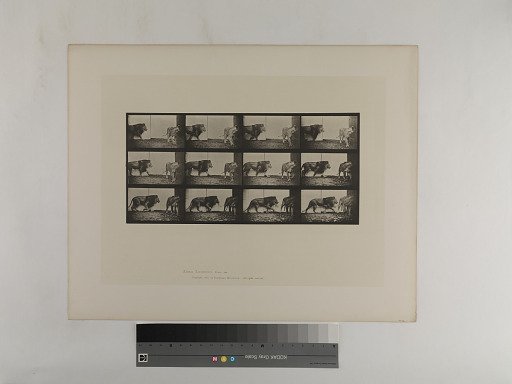 Animal Locomotion. Plate 726.
