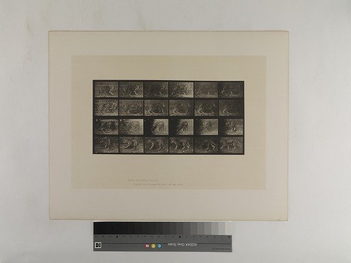 Animal Locomotion. Plate 731.