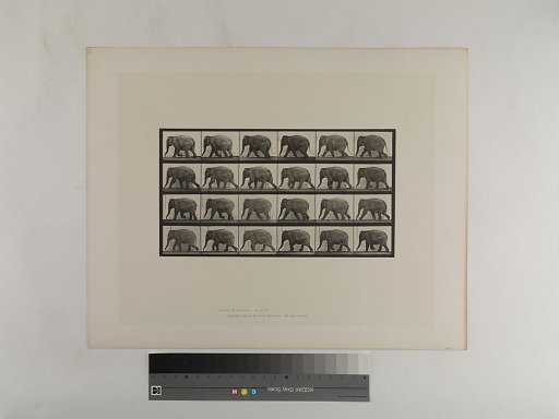 Animal Locomotion. Plate 733.