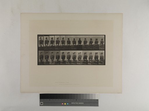 Animal Locomotion. Plate 741.