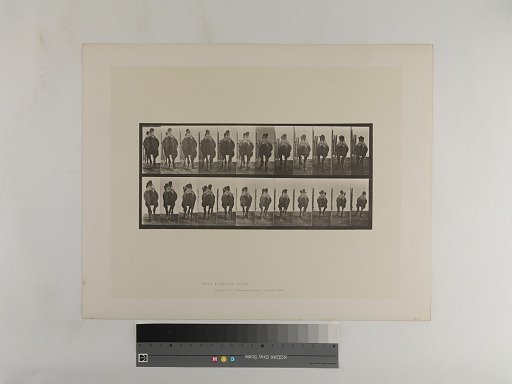 Animal Locomotion. Plate 742.
