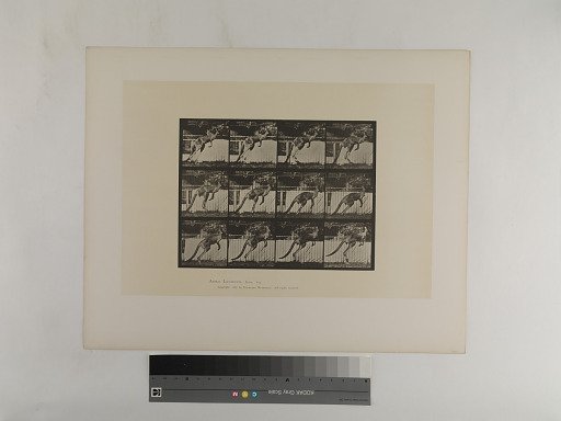 Animal Locomotion. Plate 753.