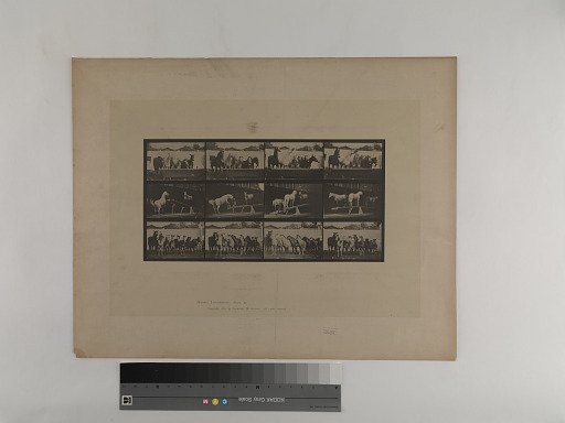 Animal Locomotion. Plate 651.