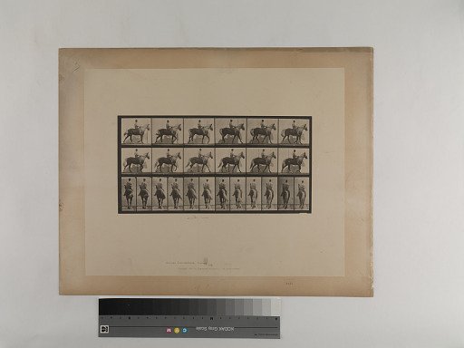 Animal Locomotion. Plate 653.