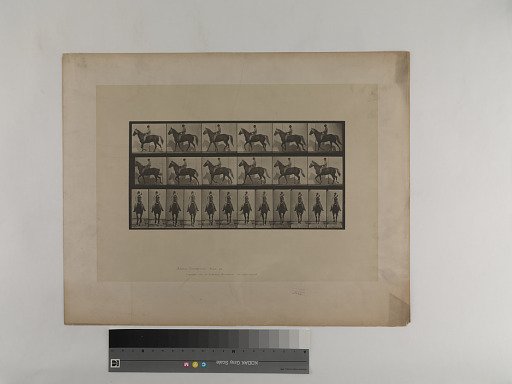Animal Locomotion. Plate 654.