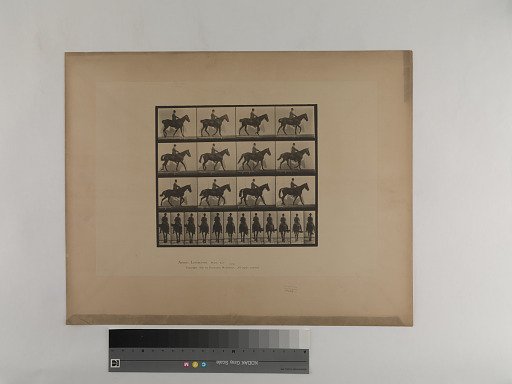 Animal Locomotion. Plate 655.