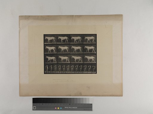 Animal Locomotion. Plate 656.