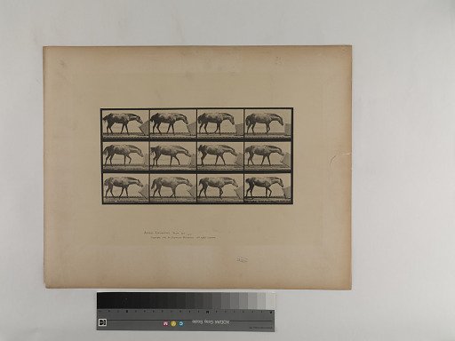 Animal Locomotion. Plate 657.
