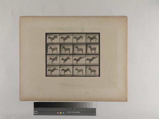 Animal Locomotion. Plate 658.