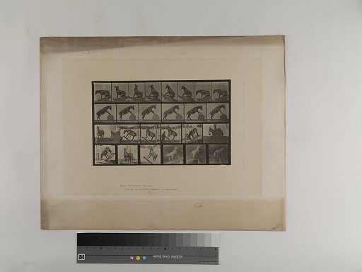 Animal Locomotion. Plate 660.
