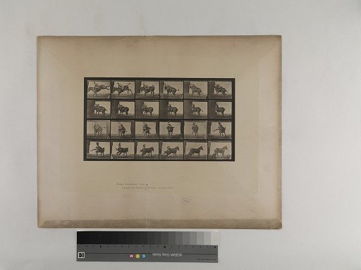 Animal Locomotion. Plate 661.