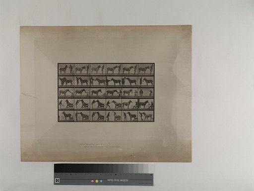 Animal Locomotion. Plate 664.