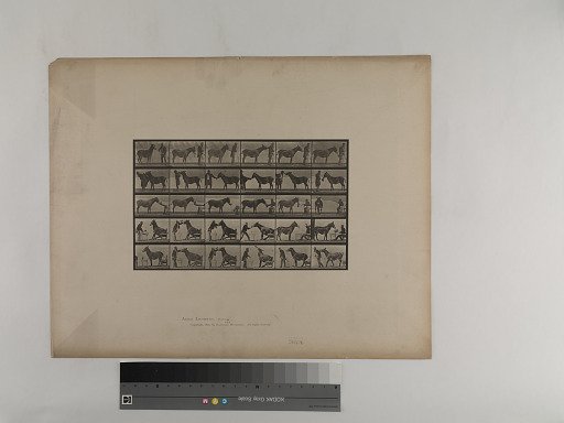 Animal Locomotion. Plate 664.