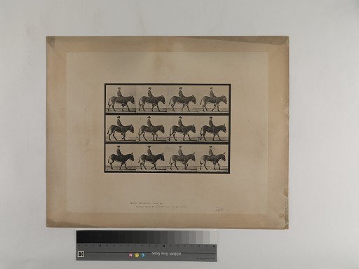 Animal Locomotion. Plate 665.